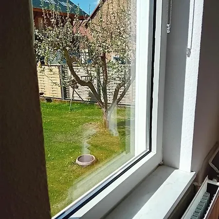 Apartmán Lucy 1 *
